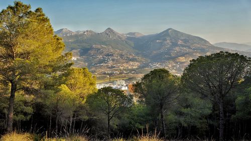 Scenic view of trees and mountains against sky