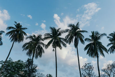 Low angle view of silhouette palm trees against sky