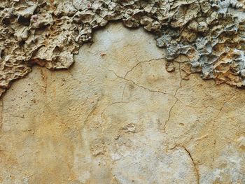 Full frame shot of weathered wall