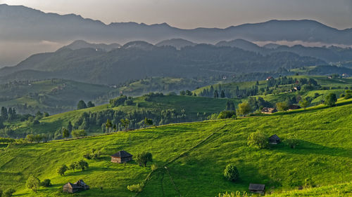 Scenic view of agricultural field and mountains against sky