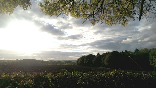 Scenic view of grassy field against cloudy sky