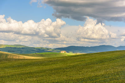 Scenic view of field against sky