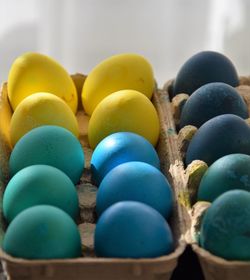 Close-up of multi colored candies