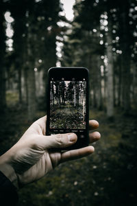 Cropped hand photographing trees through mobile phone in forest