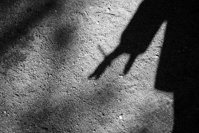 Shadow of person on street