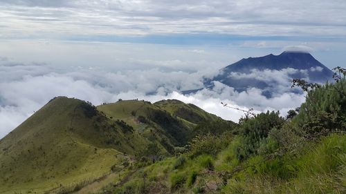 Scenic view of landscape against sky