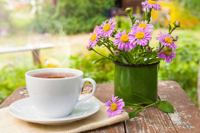 Close-up of purple flowers on table