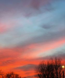 Low angle view of silhouette trees against dramatic sky