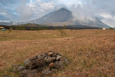 Scenic view of field against sky