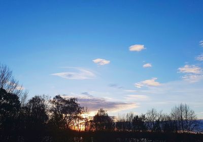 Low angle view of silhouette trees against blue sky