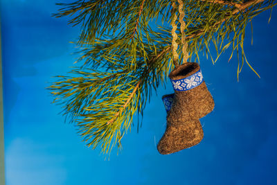 Miniature felt boots hang on a pine branch. photo taken in chelyabinsk, russia.