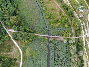 High angle view of road amidst trees on field