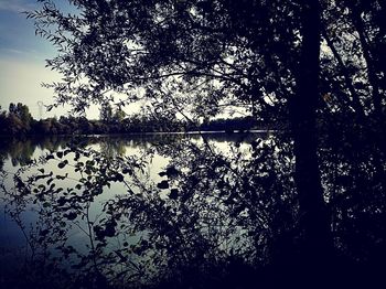 Scenic view of lake in forest against sky