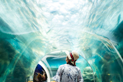 Rear view of woman wearing hat standing at underwater aquarium