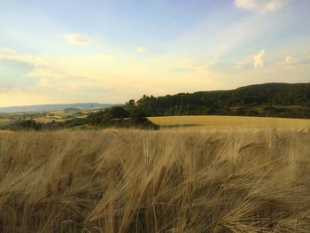 Scenic view of field against cloudy sky