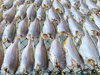 High angle view of fish for sale in market