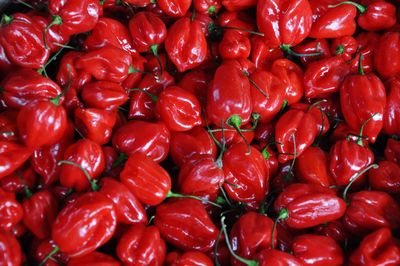 Full frame shot of red tomatoes