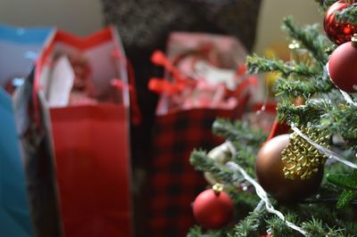 Close-up of christmas tree