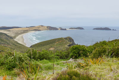 Coastal scenery around cape reinga at the north island in new zealand