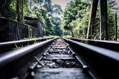 Surface level of railroad tracks in forest