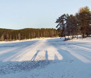 Snow covered field by trees against sky