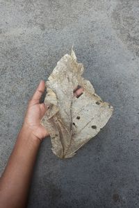 Close-up of hand holding dry leaf