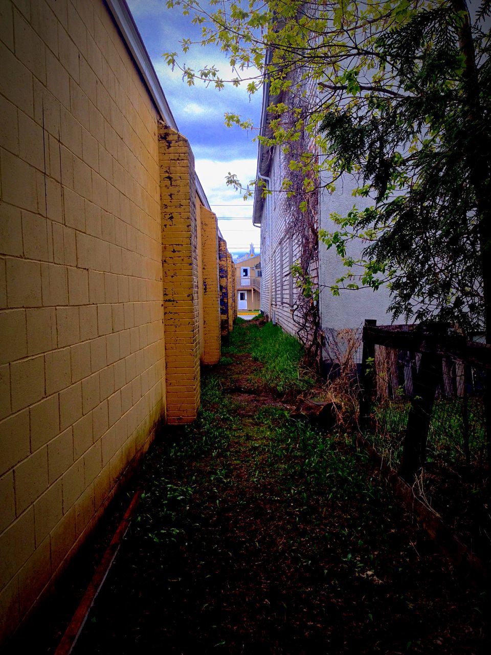 architecture, built structure, building exterior, the way forward, tree, wall - building feature, house, sunlight, footpath, building, residential structure, walkway, shadow, pathway, narrow, day, sky, no people, plant, diminishing perspective