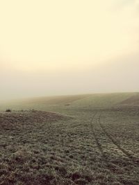 Scenic view of field against cloudy sky