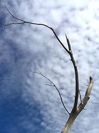 Low angle view of cloudy sky