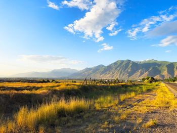 Scenic view of field against sky