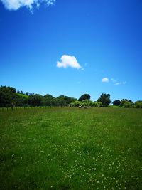 Scenic view of field against blue sky