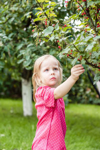 Girl in a dress picking red currants