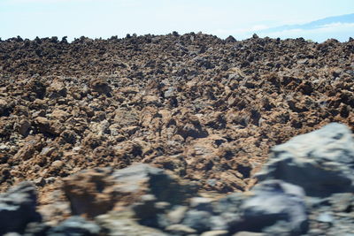 Surface level of rocks on land against sky