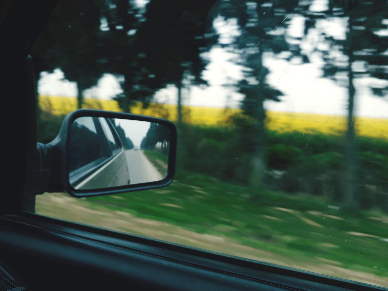 tree, window, side-view mirror, transportation, nature, mode of transport, day, landscape, no people, forest, outdoors, close-up, sky