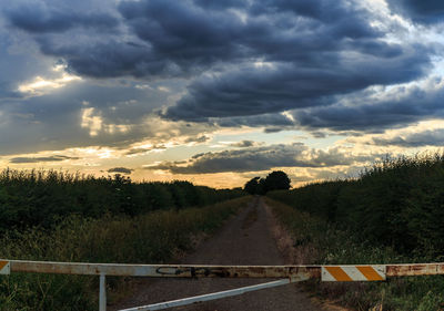 Road amidst trees on field against sky at sunset