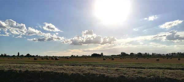 Scenic view of field against sky