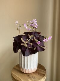 Close-up of flowering plant in vase on table against wall