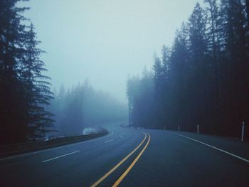 Road amidst trees against sky during winter