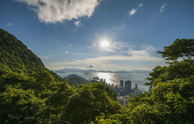 Elevated view of hong kong from victoria peak