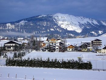 Snow covered houses