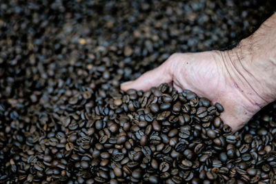 High angle view of coffee beans