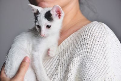 Close-up of hand holding kitten