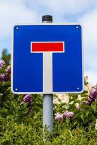 Close-up of arrow sign on road