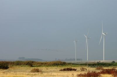 Wind turbines on field against clear sky