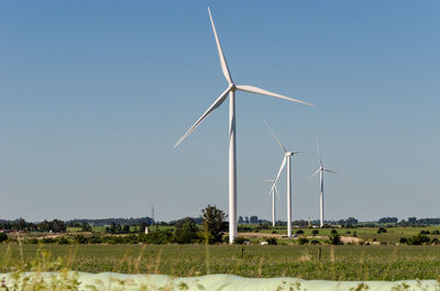 Landscape of energy efficient wind turbine at the countryside near tarariras, colonia. 