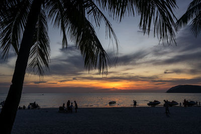 Silhouette palm trees on beach against sky during sunset