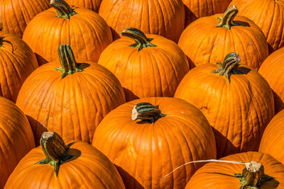 High angle view of pumpkins for sale at market