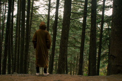 Rear view of man standing by trees in forest