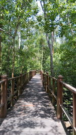 View of trees