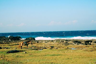 Scenic view of sea against sky